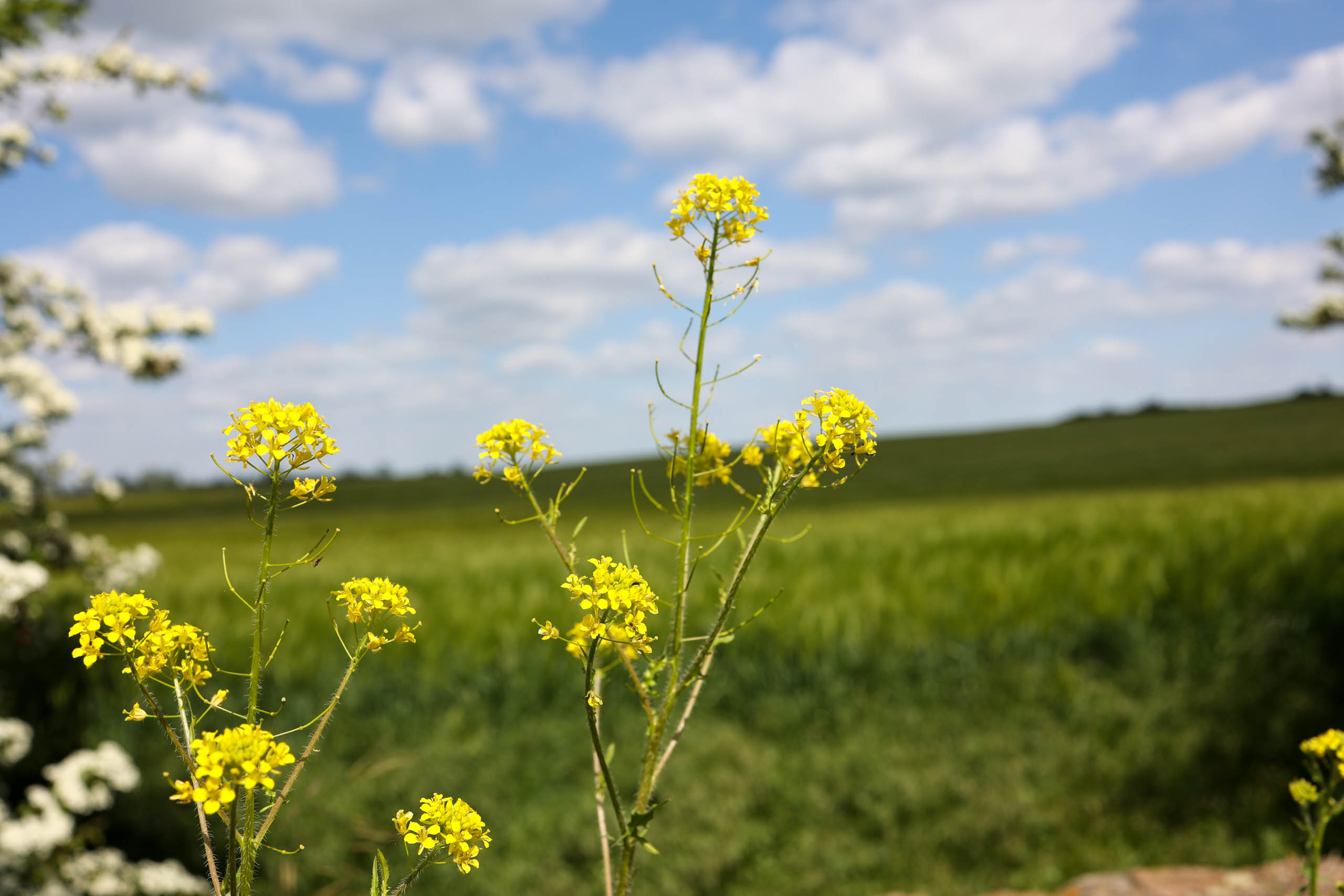 Weiter geht es heimwärts