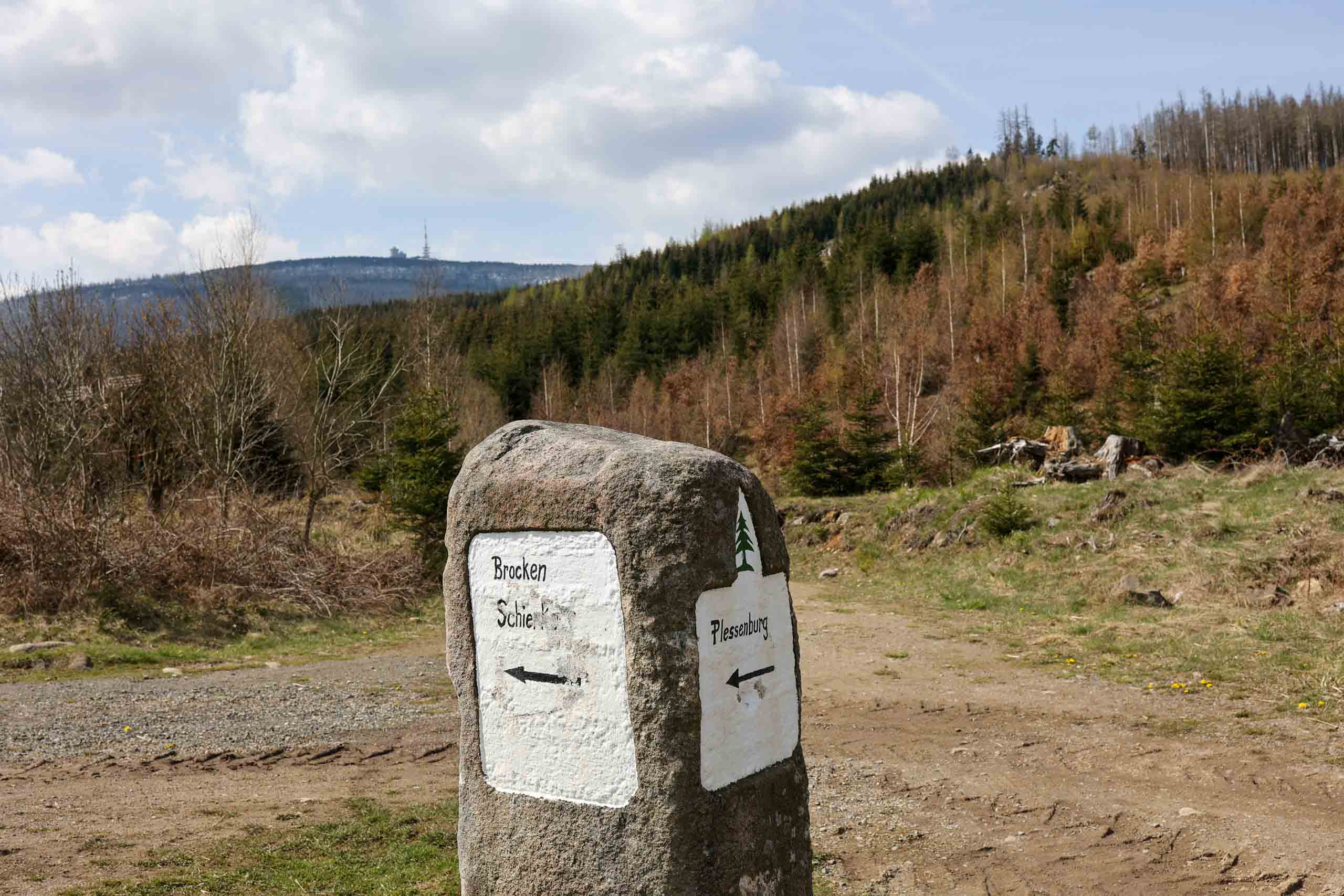 Der Gipfel zum Greifen nah?