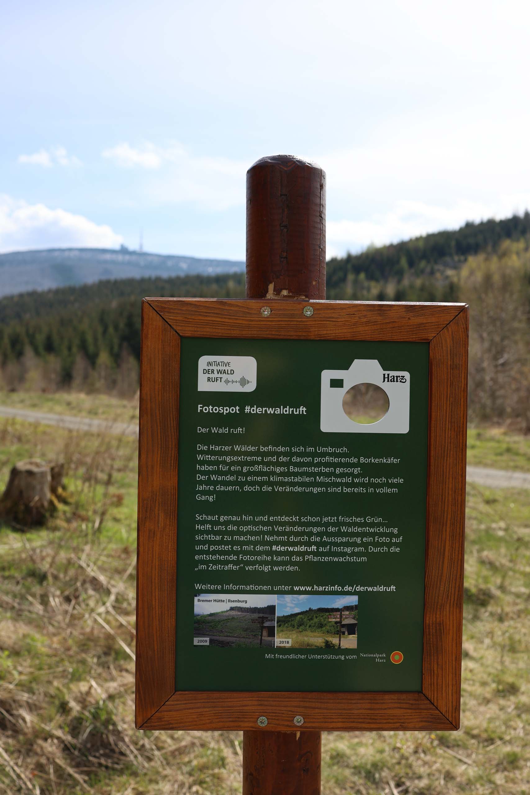 Fotospot im Waldumbruch