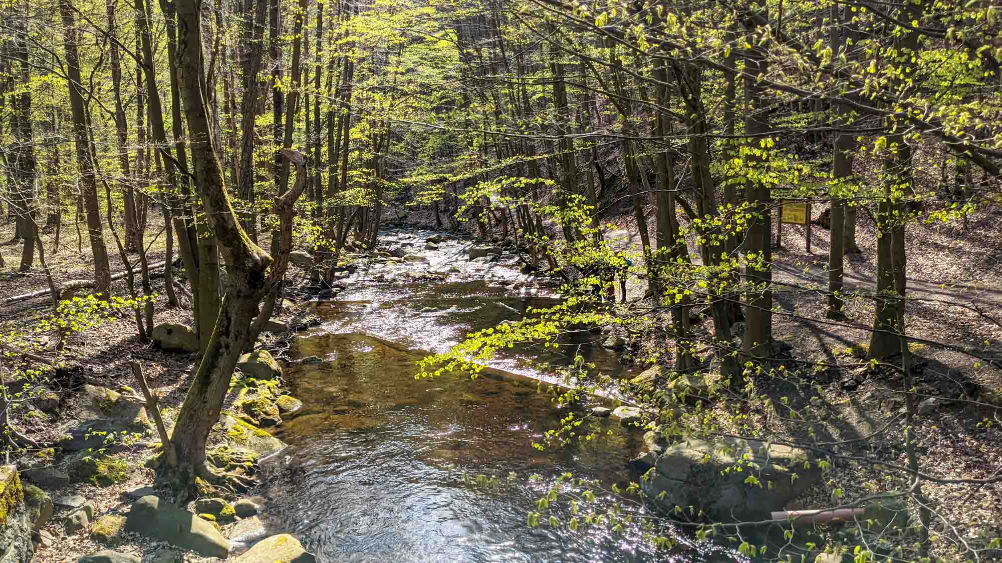 Beginn der Wanderung im unteren Ilsetal