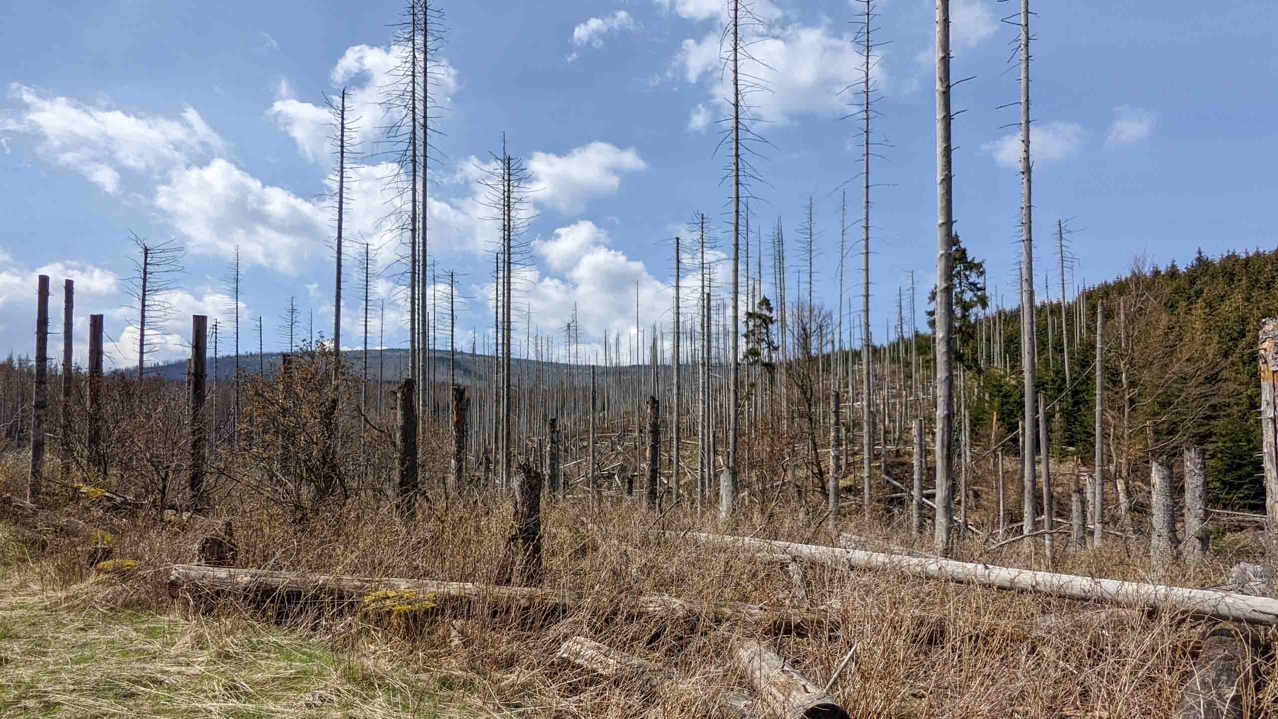 Nicht mehr so malerisch
