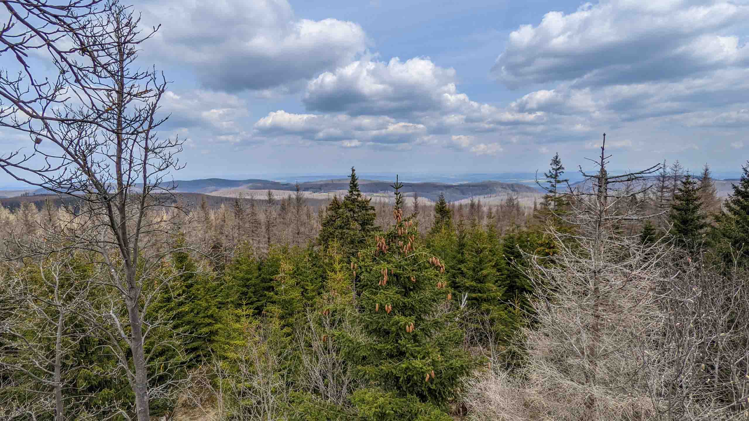 Blick ins nördliche Harzer Vorland