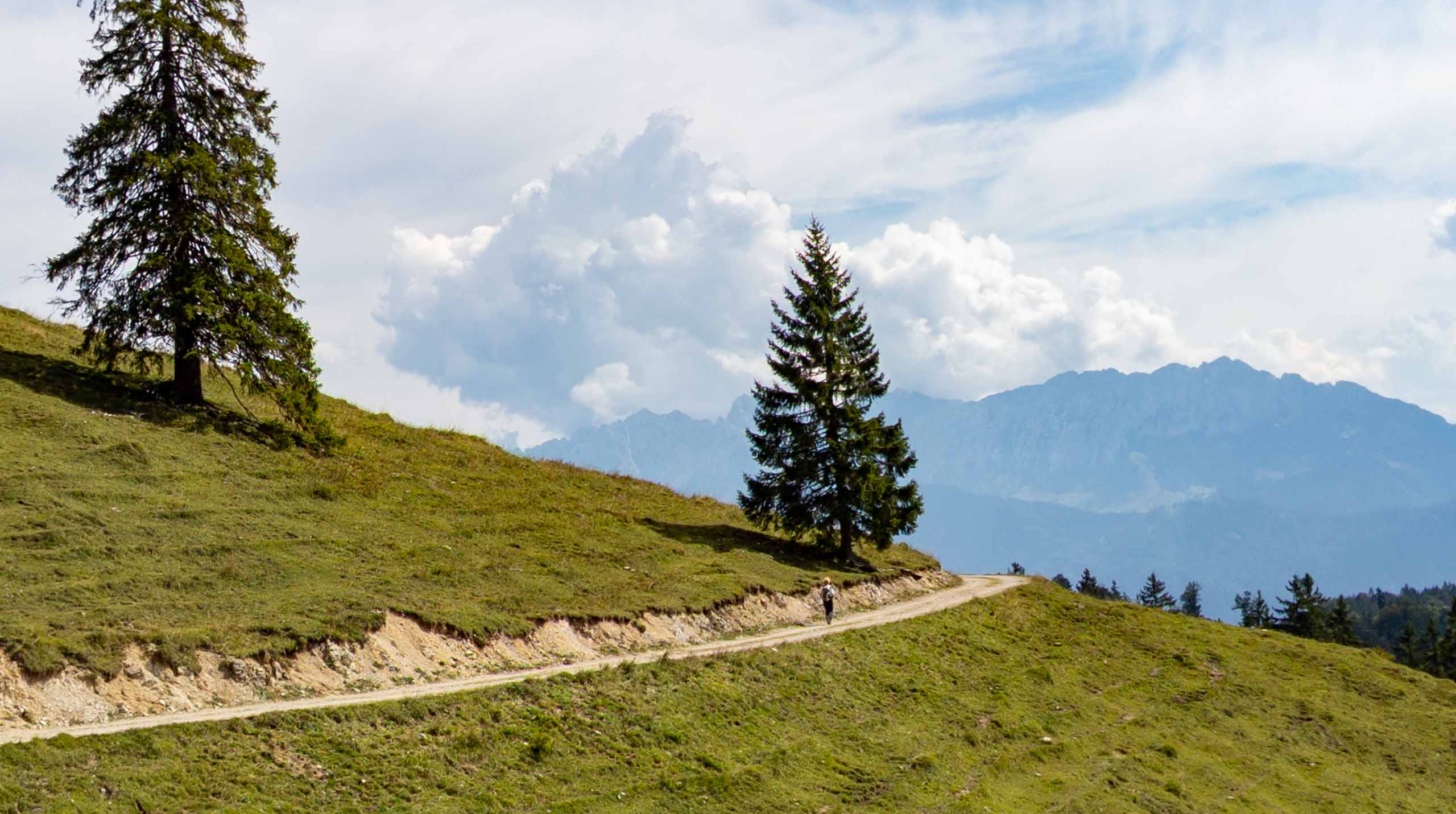 Sie geht zügig voran