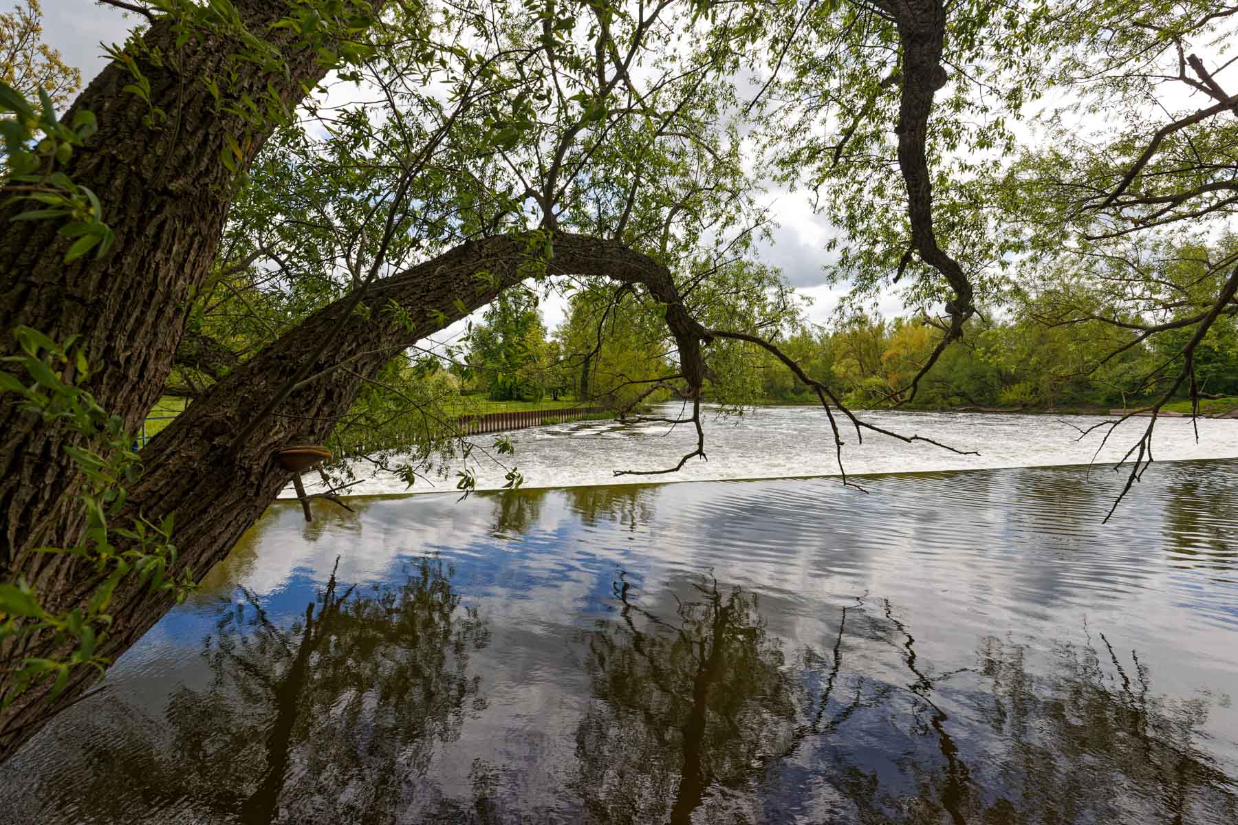Saalewehr Weißenfels