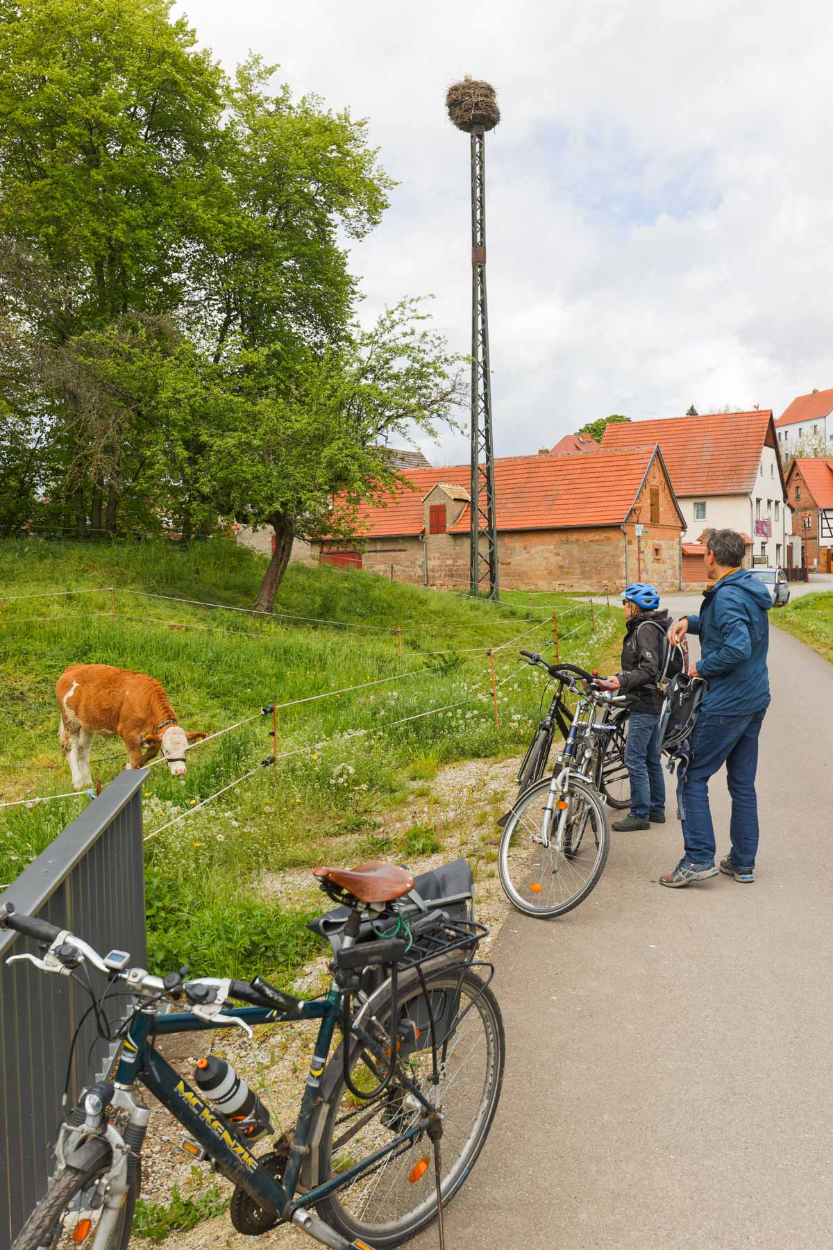 Das Nest ist bewohnt