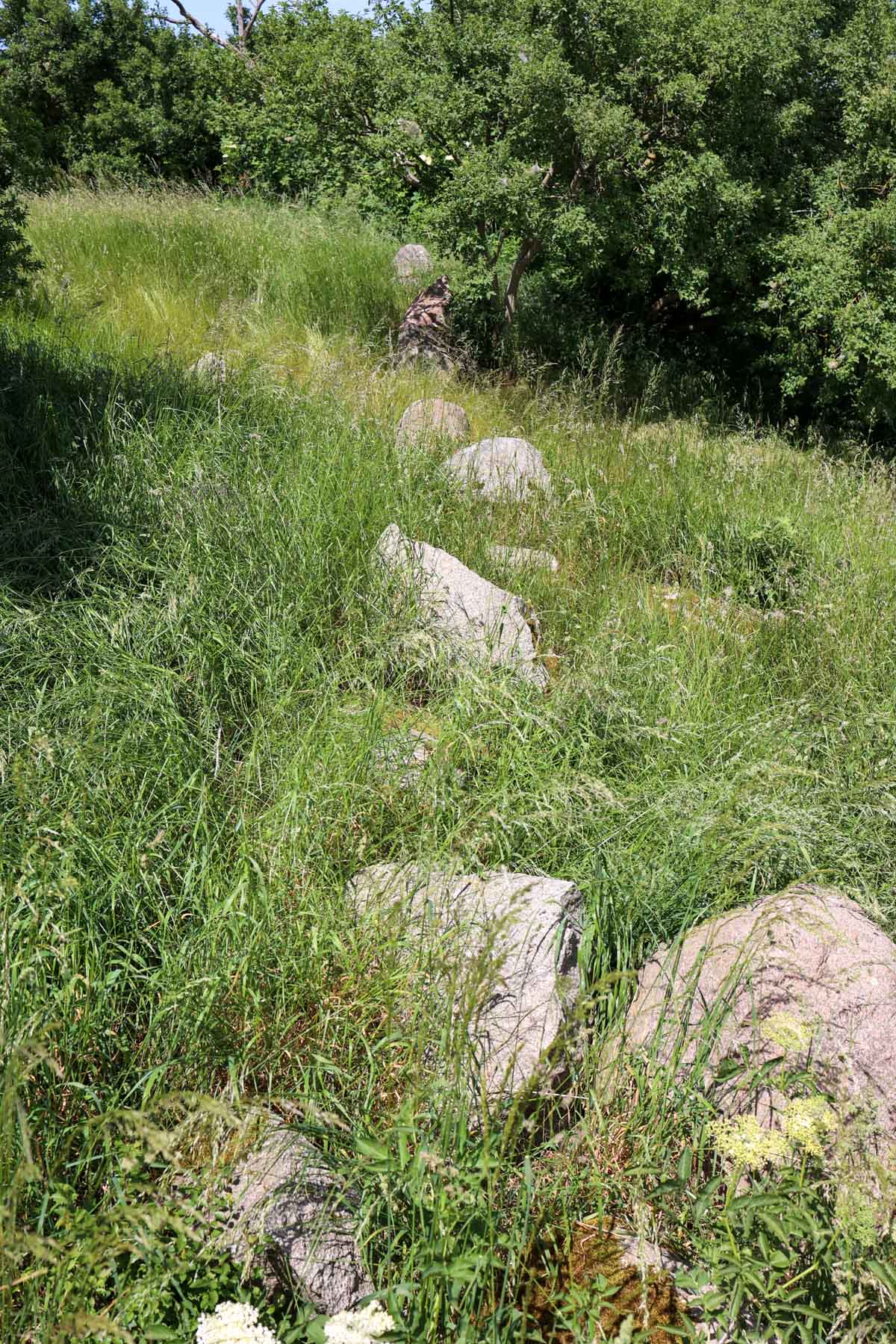 Großsteingrab Mechelsdorf 1