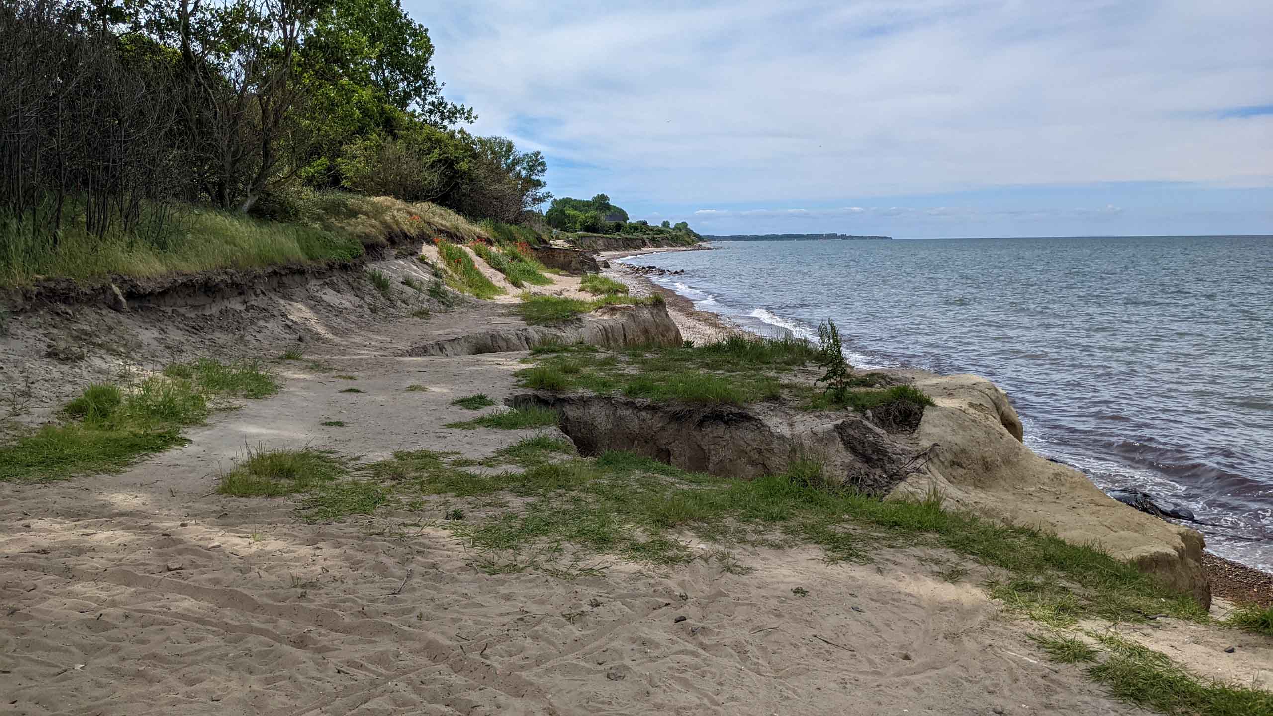 Überall bricht die Steilküste weg