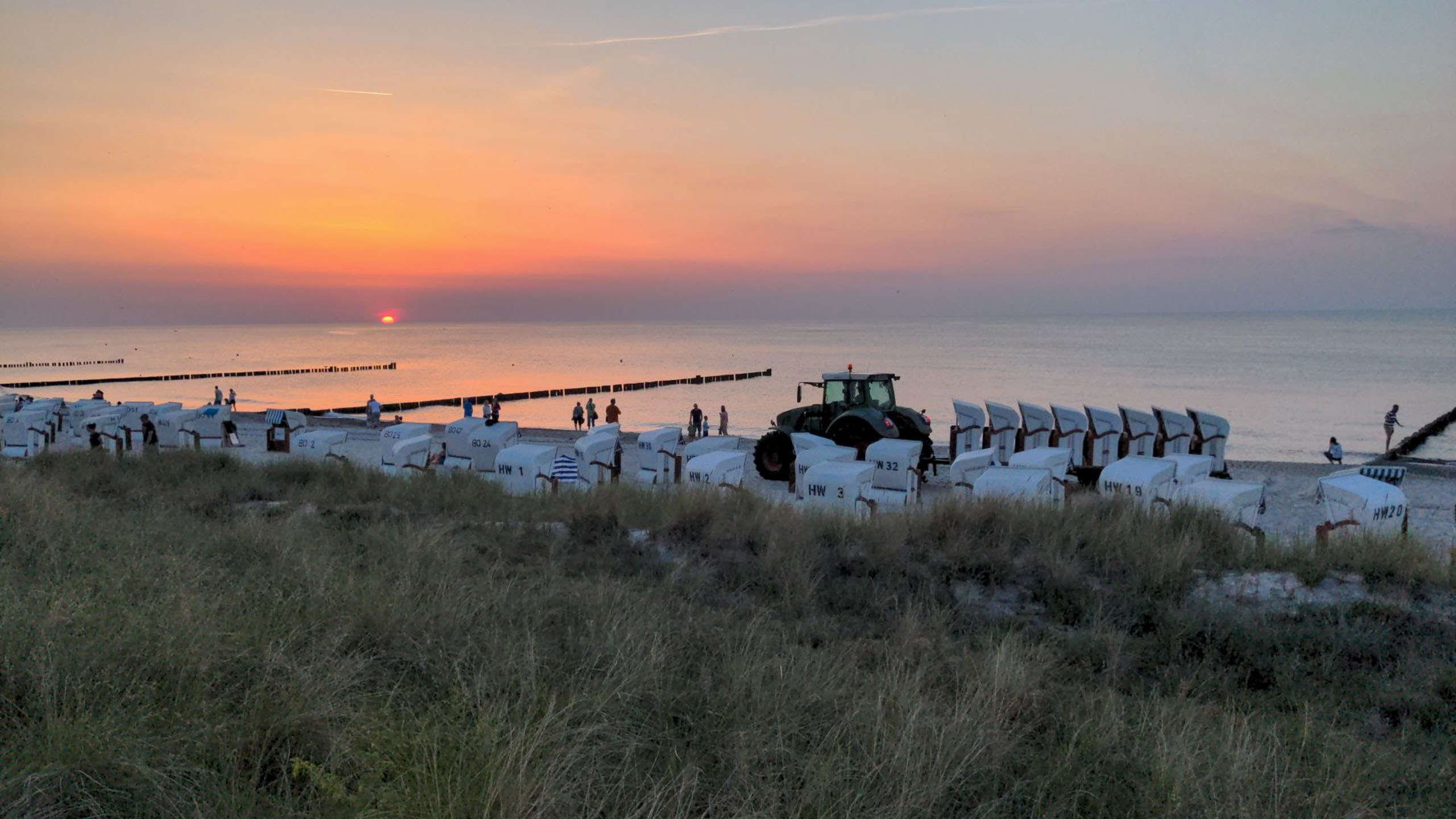Sonnenuntergang mit Traktor