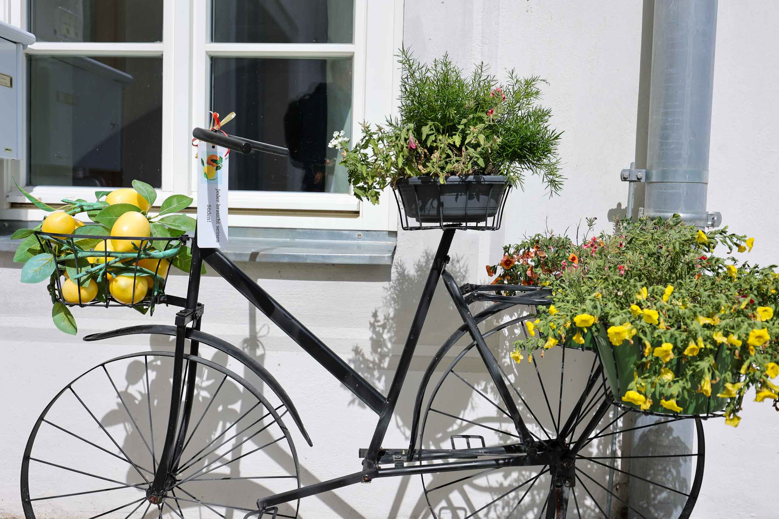 "Jeder braucht seinen Süden"