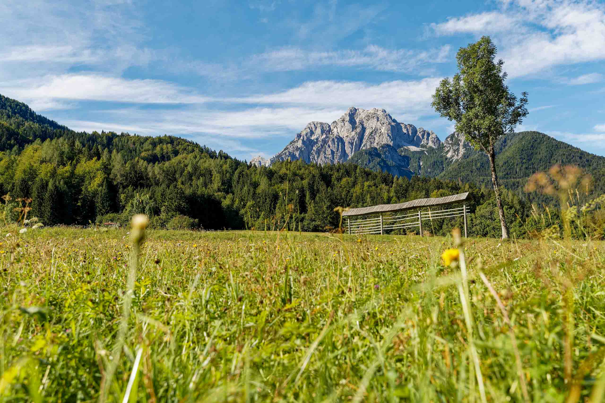 Slowenische Landschaft