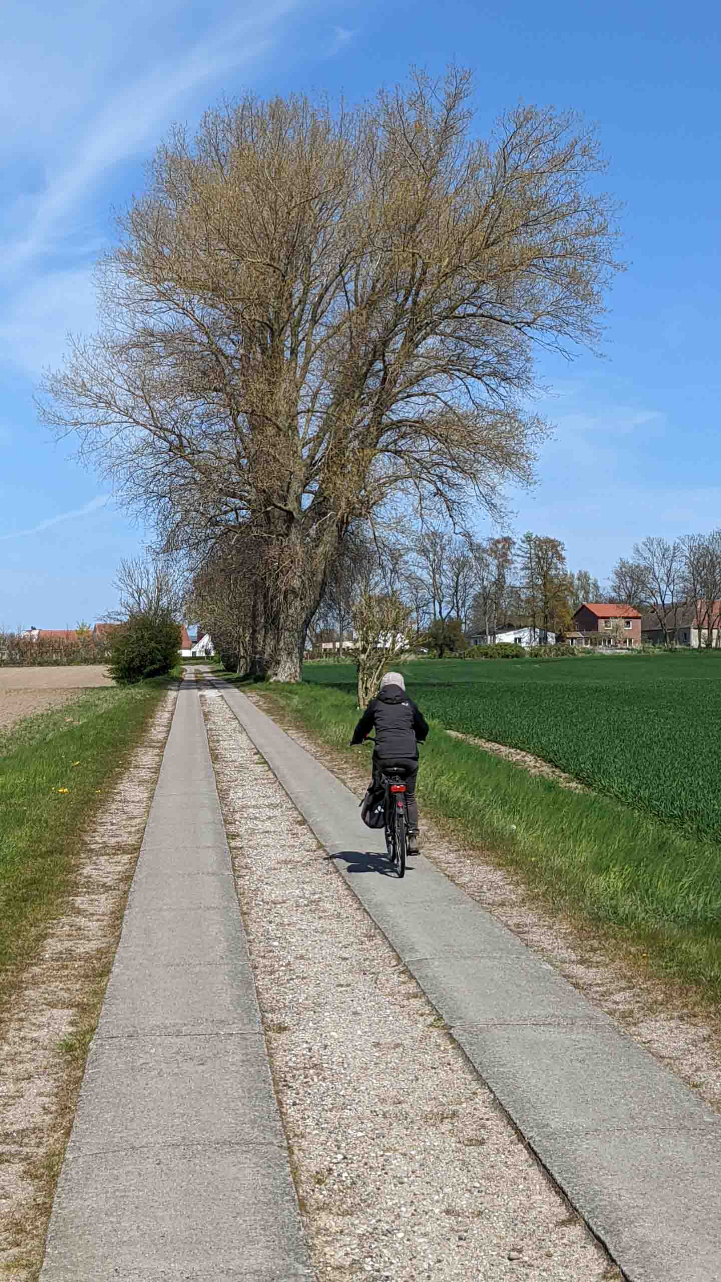 Zurück auf Wegen im Hinterland