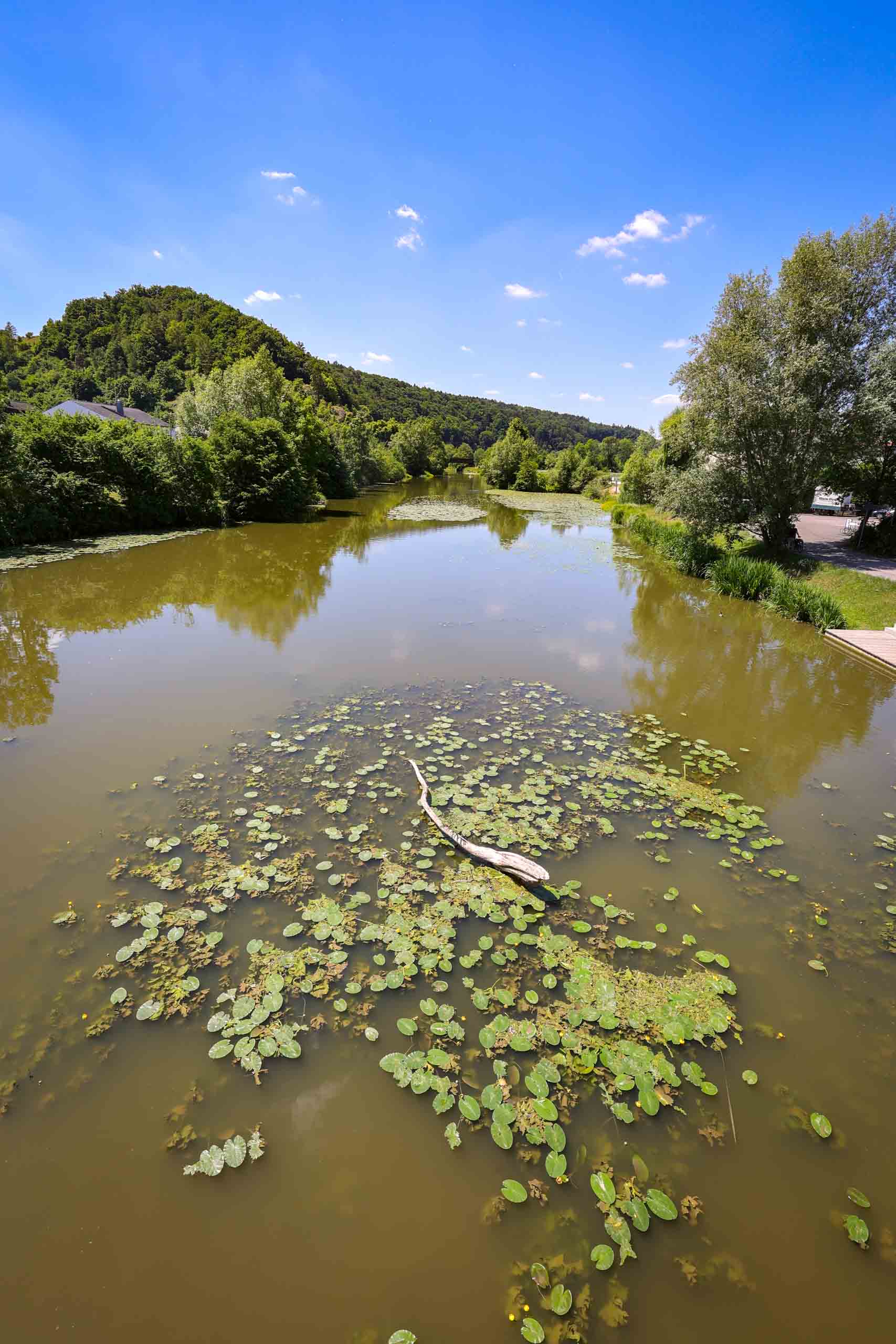 Die Altmühl ist ein 227 km langer Fluss in Bayern