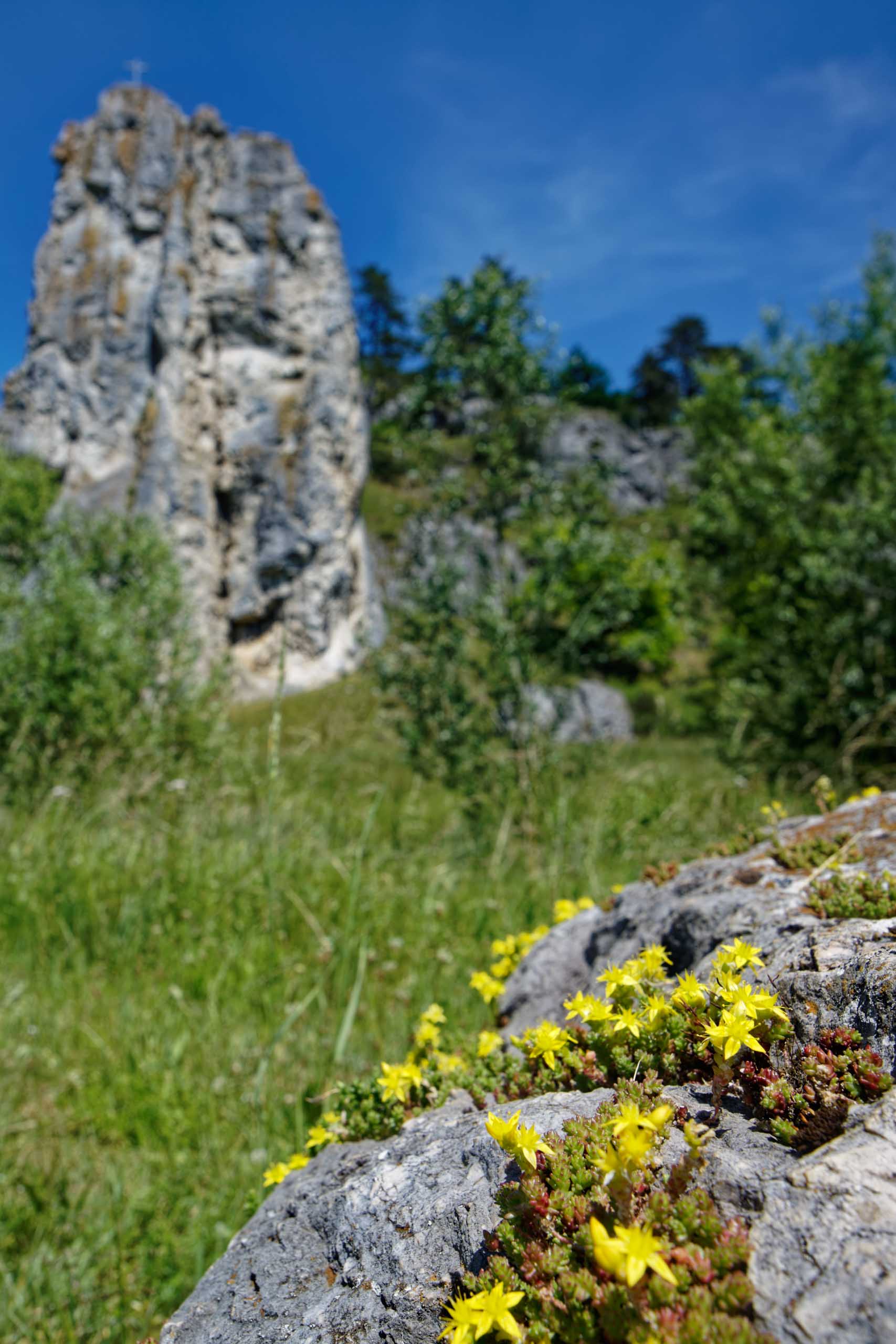Burgruine Dollnstein