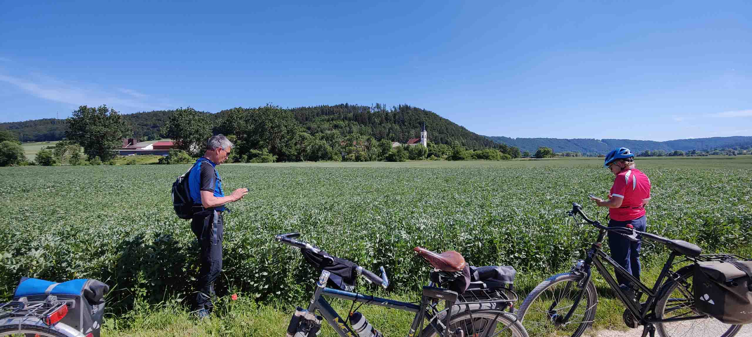 Das muss die Saubohne sein