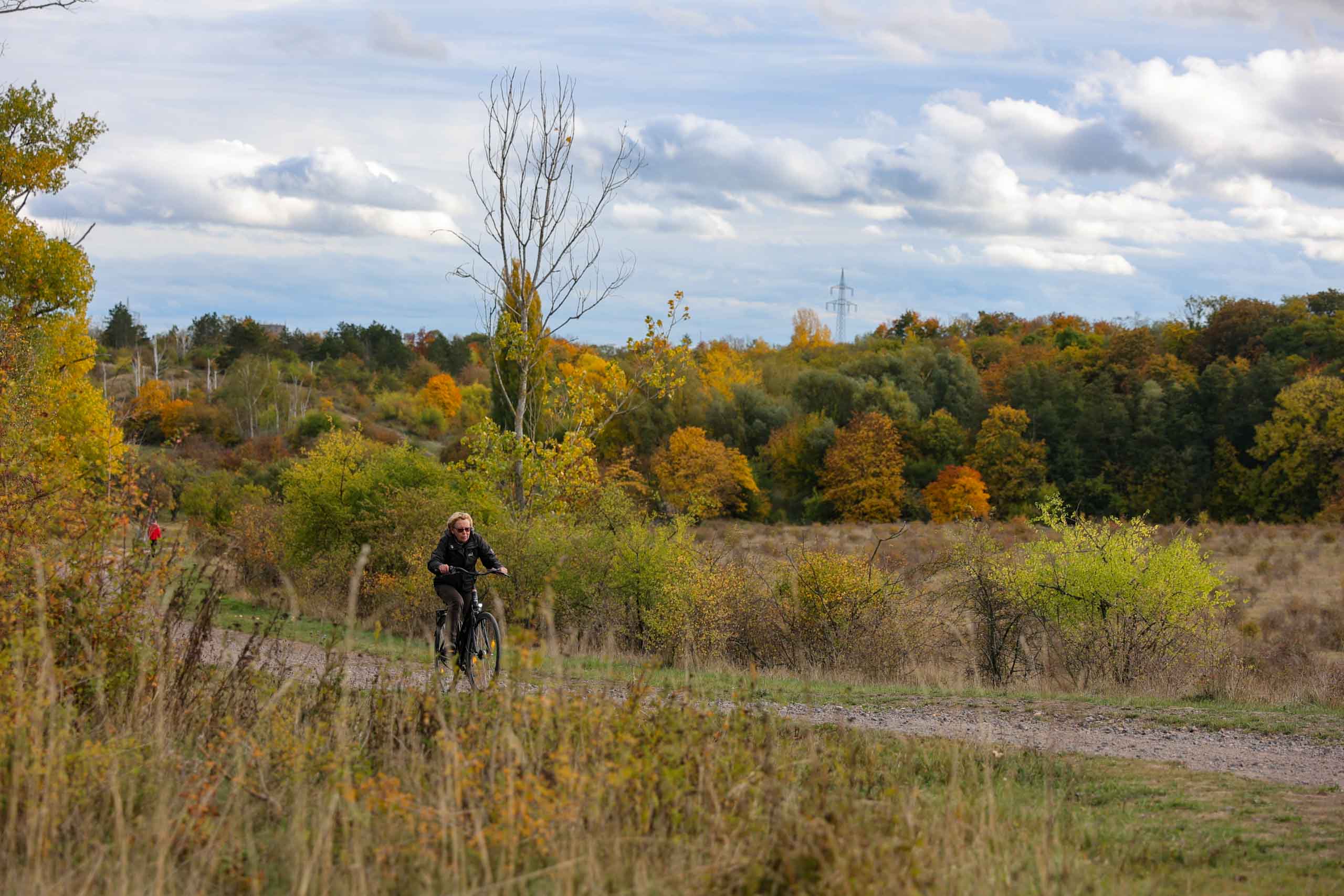 Wir verlassen die alten Pfade