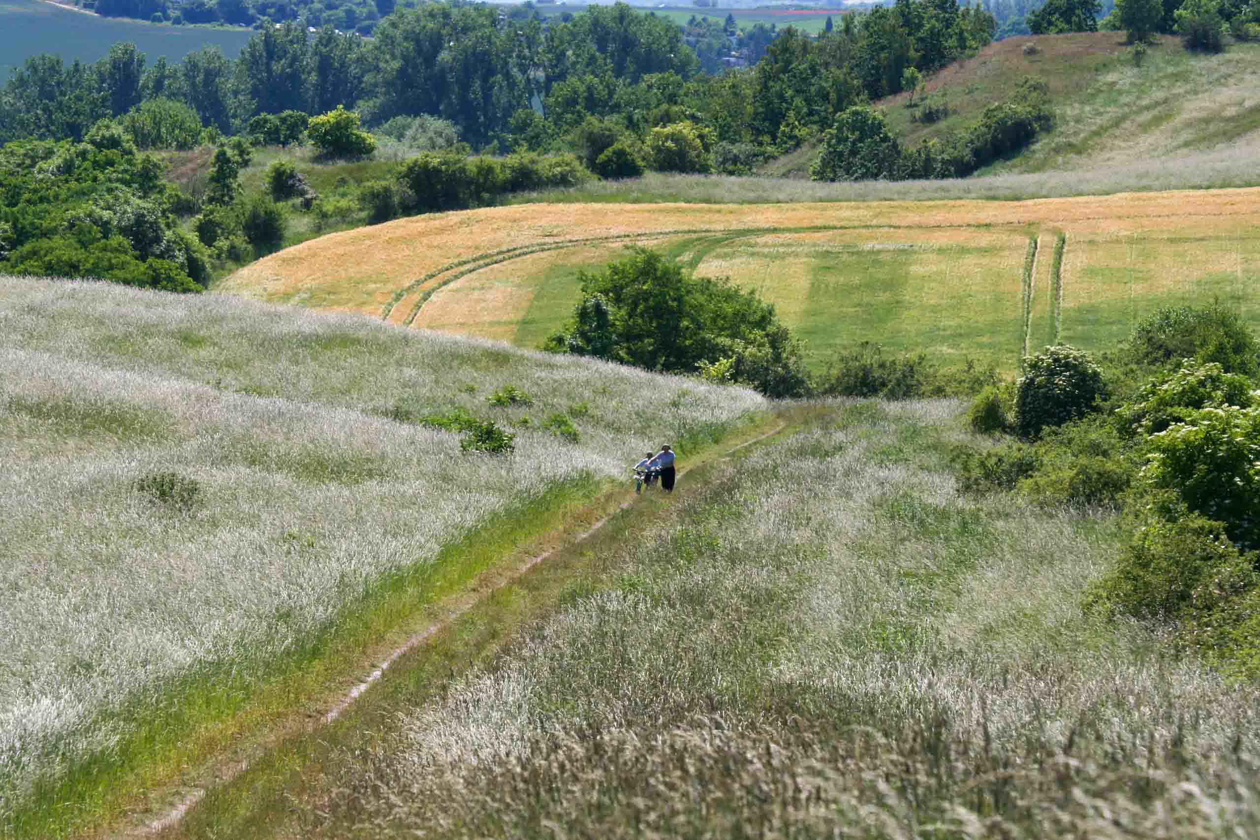Auf früheren Pfaden