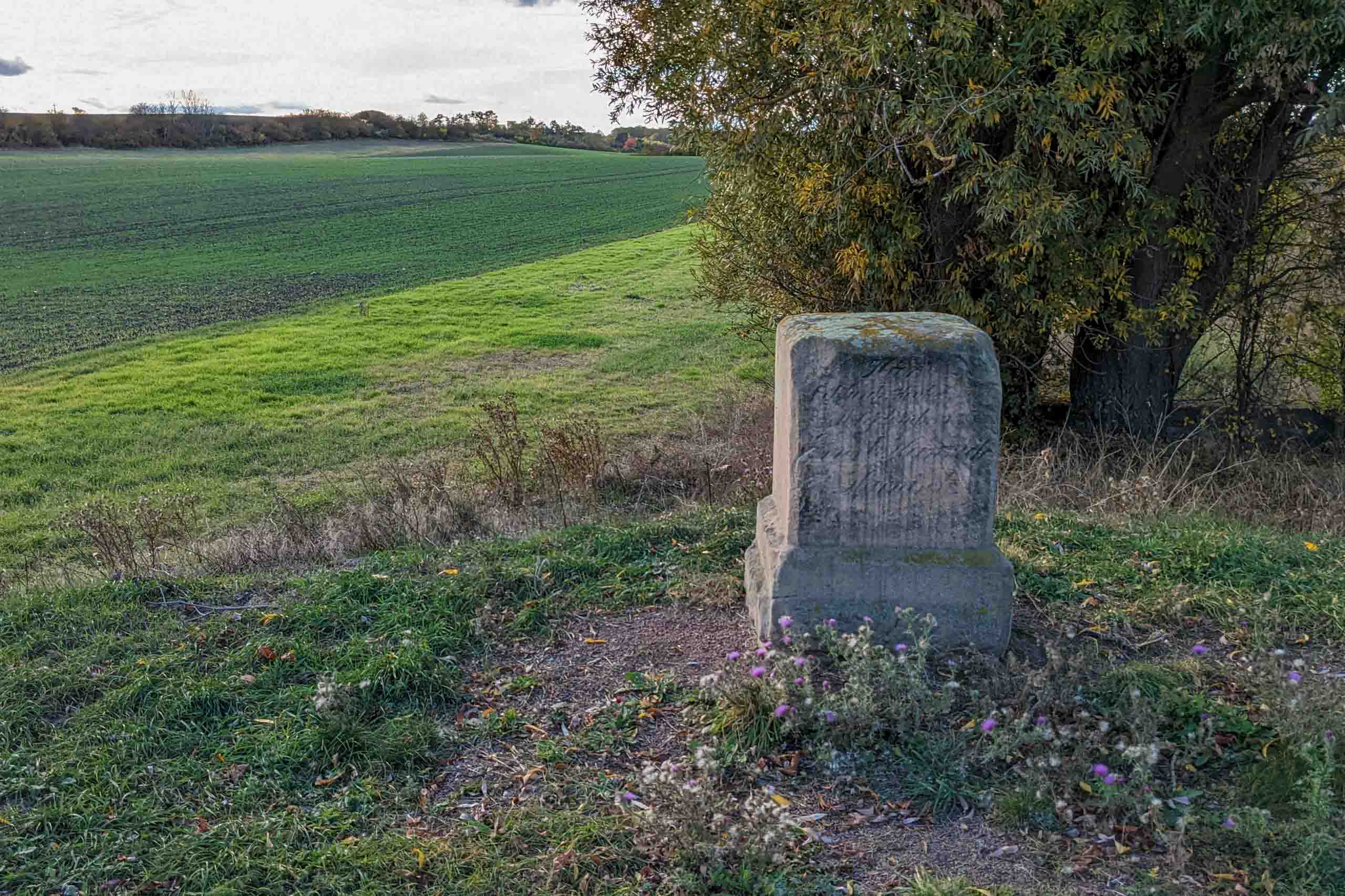 Blutstein bei Lieskau