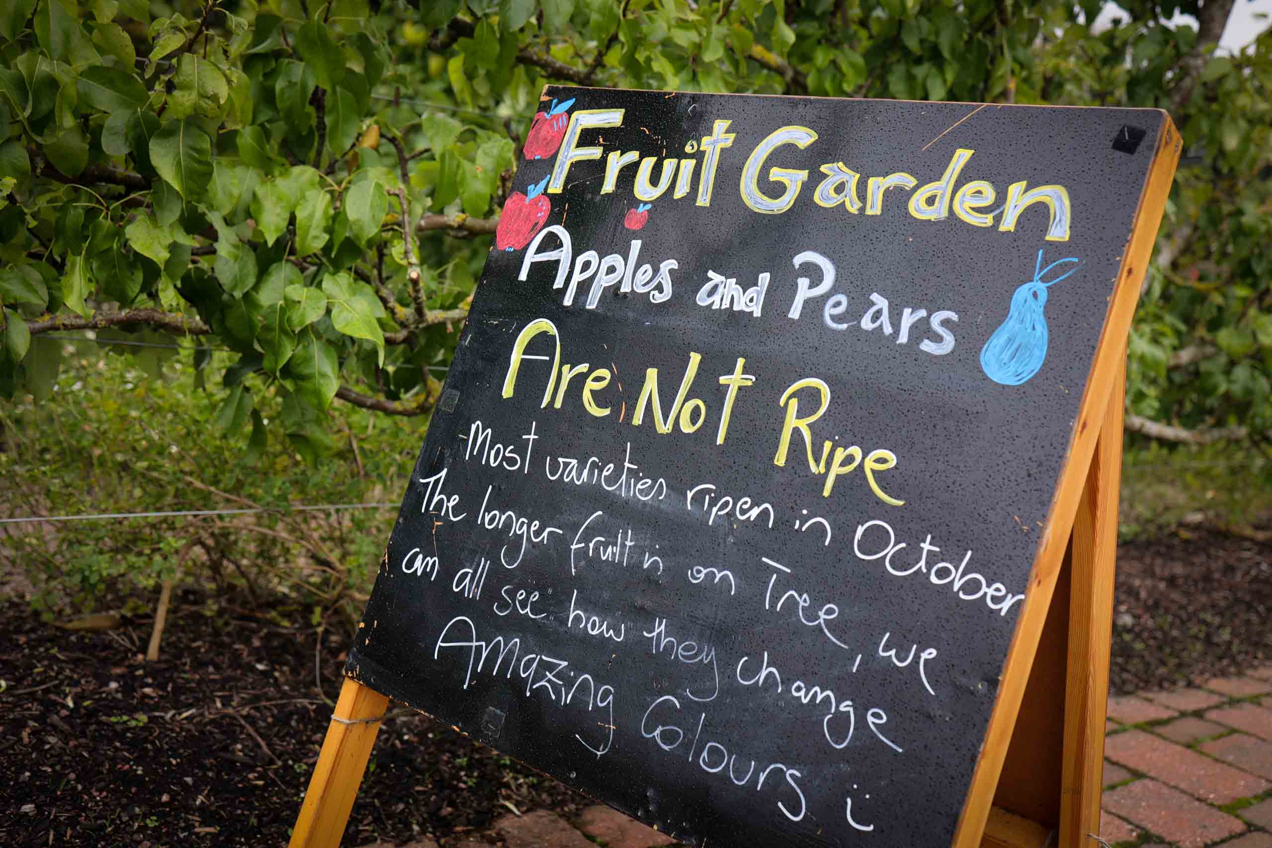 Reifen erst im Oktober