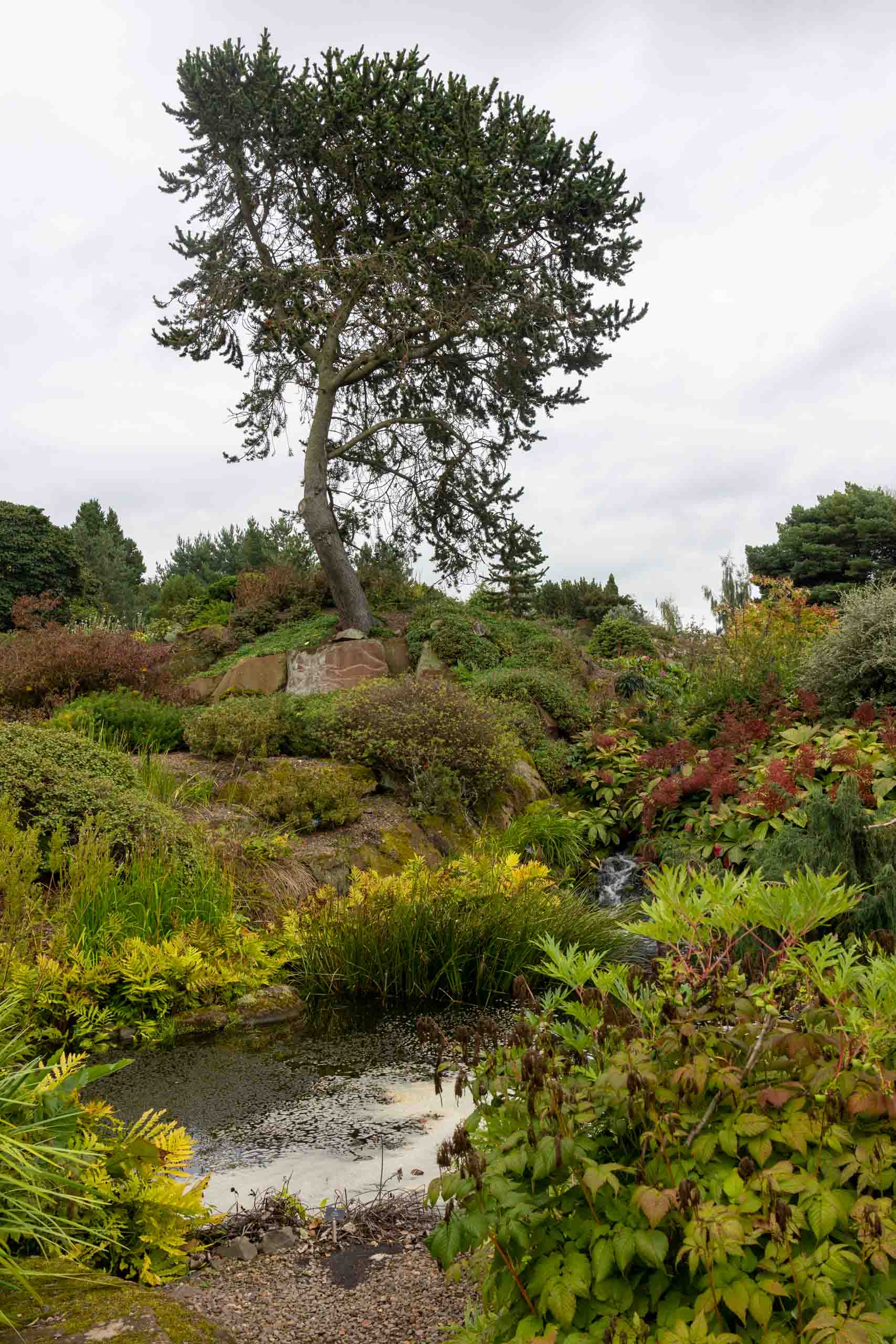 Im königlichen botanischen Garten