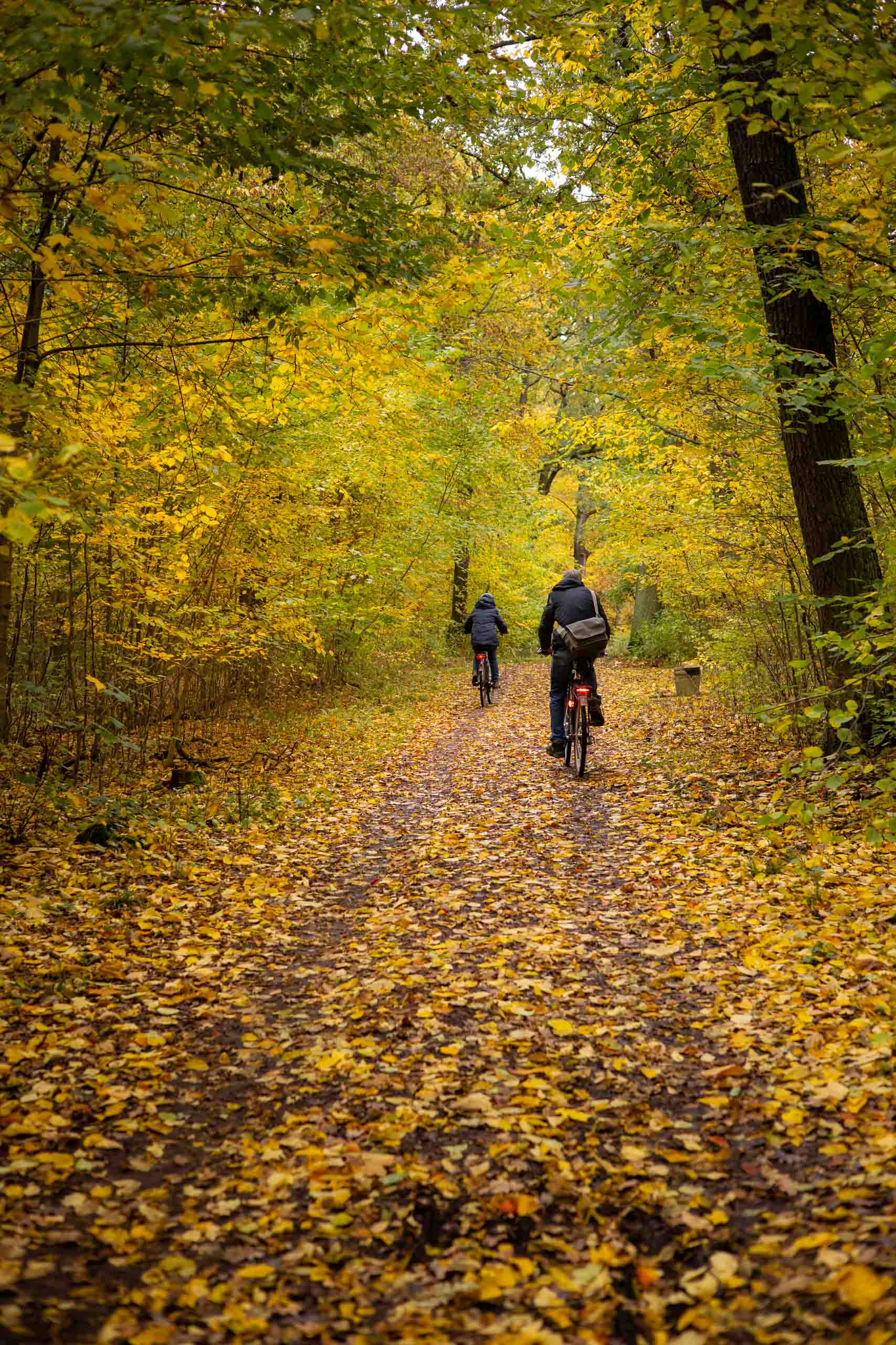 Auf dem Heimweg