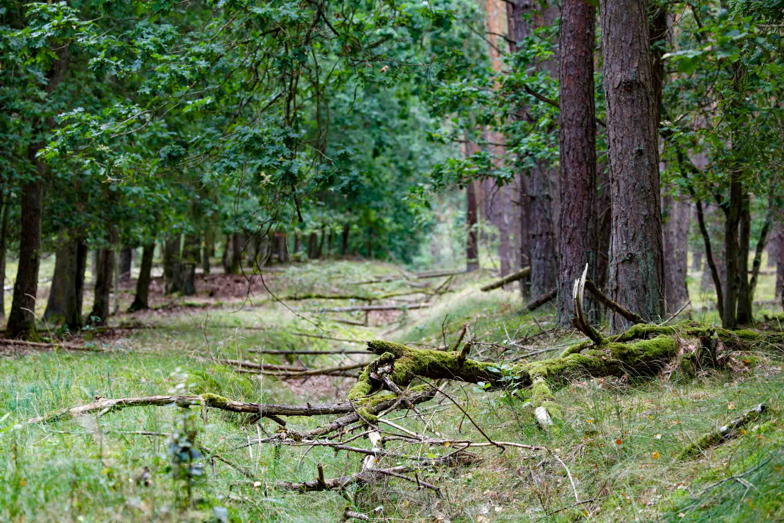 Auf Abwegen