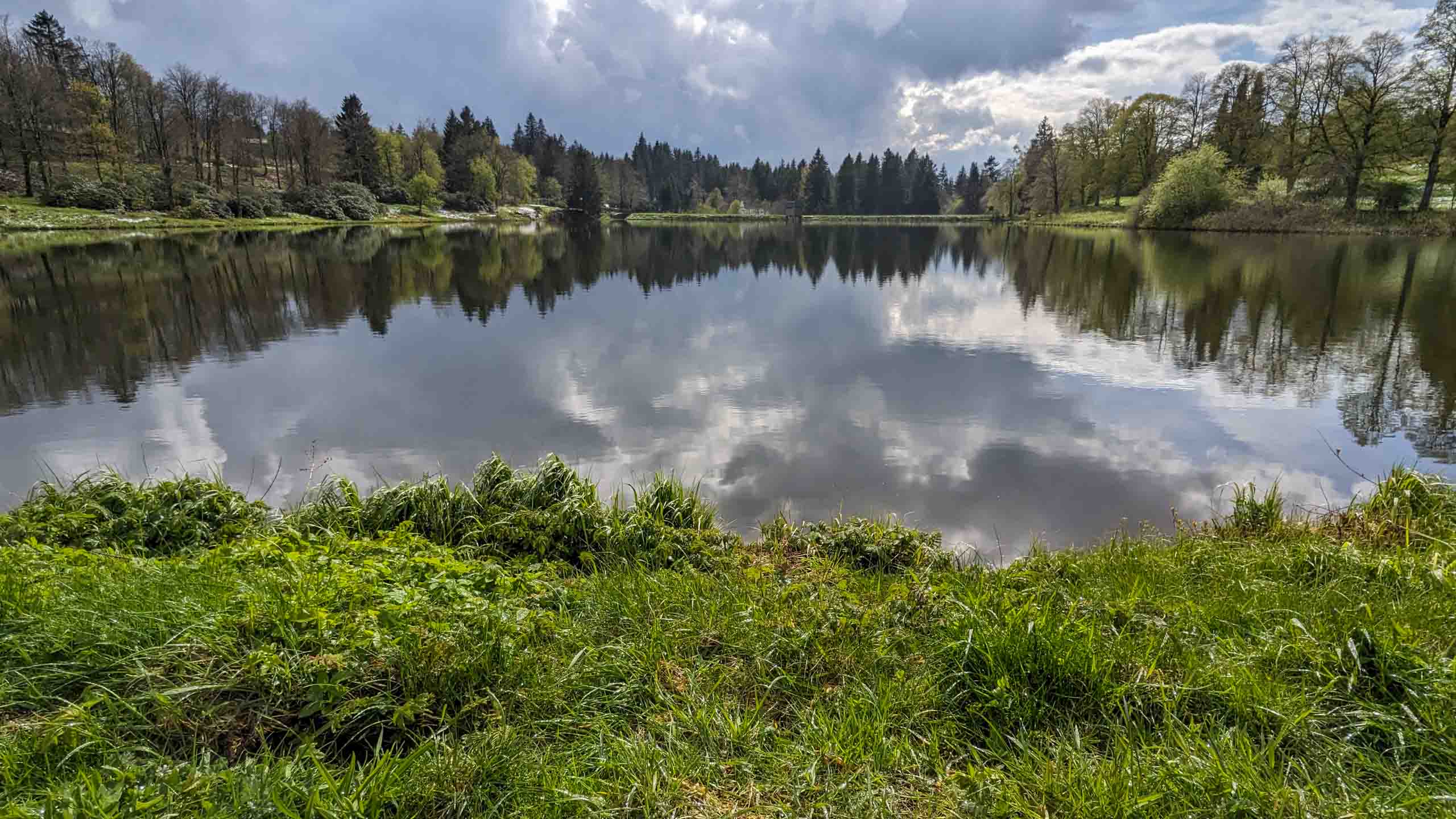 Kranicher Teich