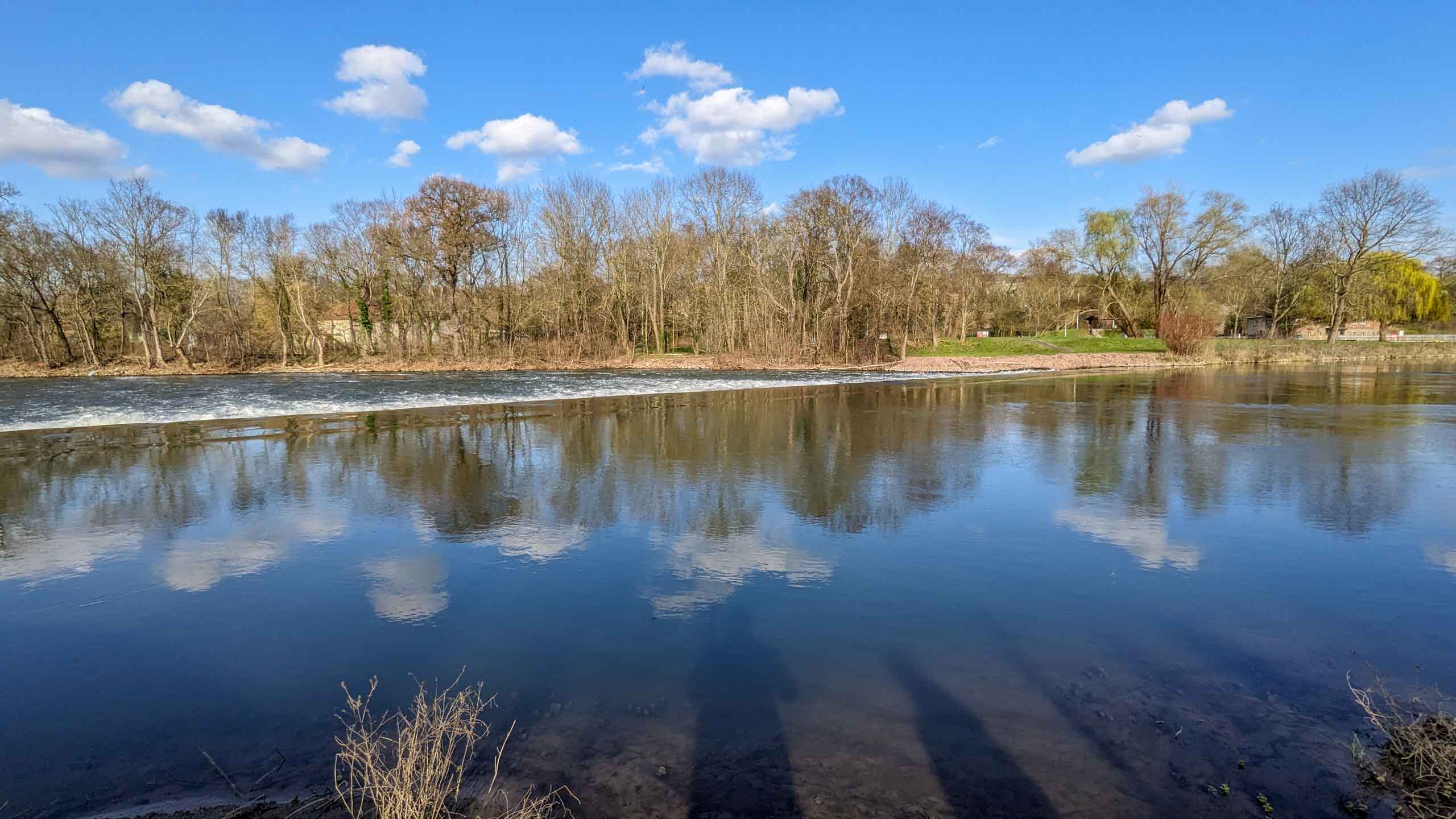 Blick von der Jungfernwiese rüber zur Würfelwiese