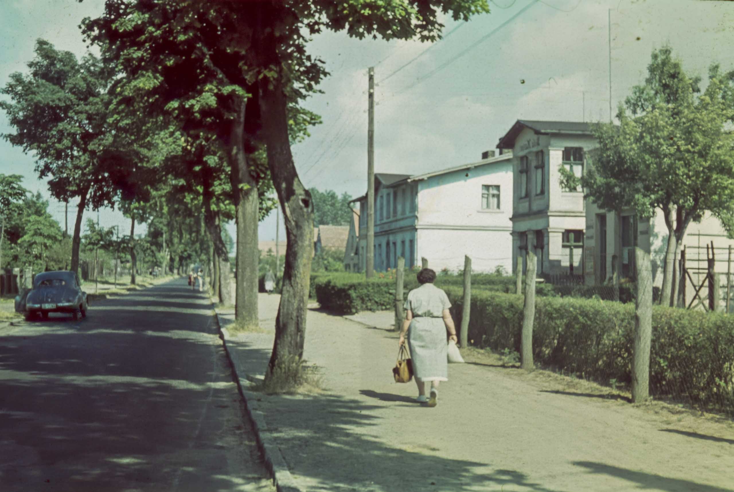 1957 Zempin