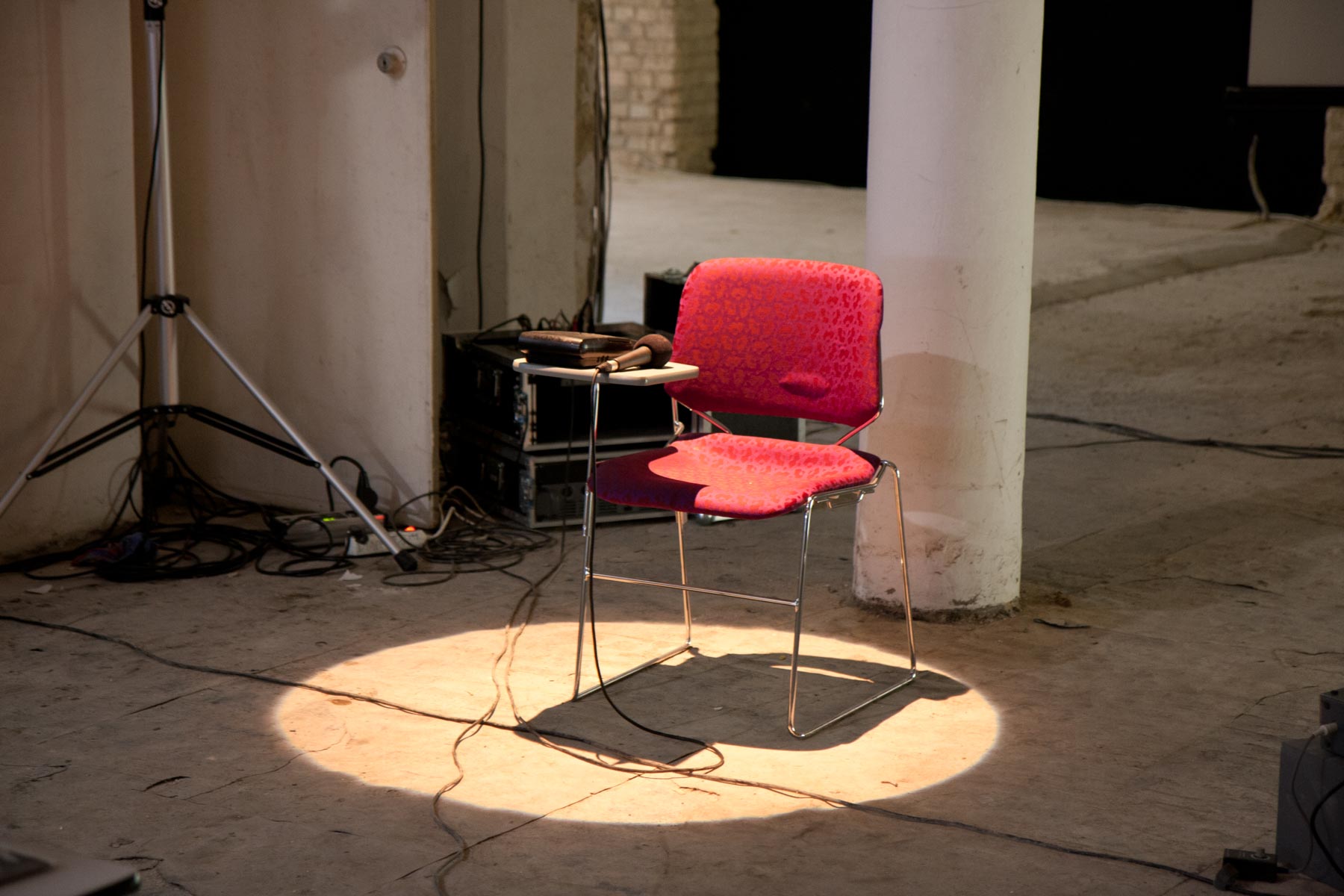 Im intecta-Haue (2009)